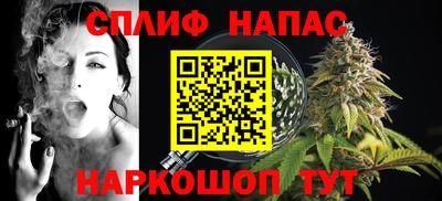 стафф Бийск