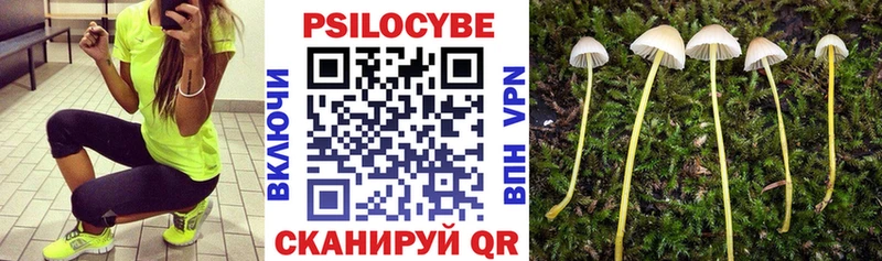 купить наркотики цена  Великие Луки  Галлюциногенные грибы мицелий 