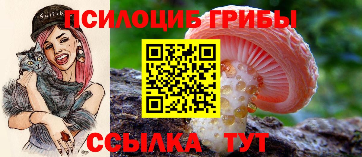 цены наркотик  Вход с VPN  Псилоцибиновые грибы прущие грибы  Великие Луки  Псилоцибиновые грибы ЛСД 