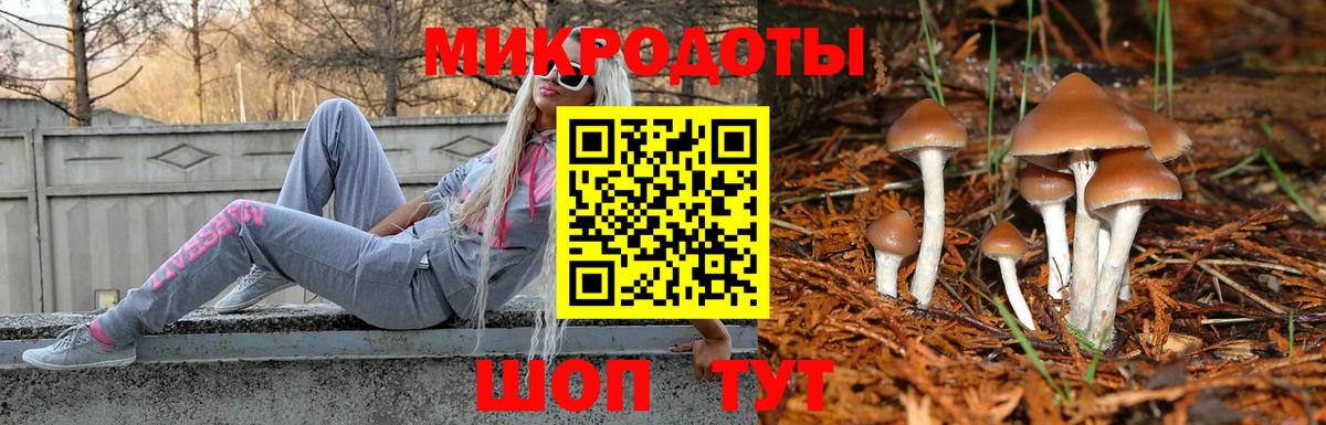 Псилоцибиновые грибы MAGIC MUSHROOMS  Псилоцибиновые грибы MAGIC MUSHROOMS  Великие Луки 